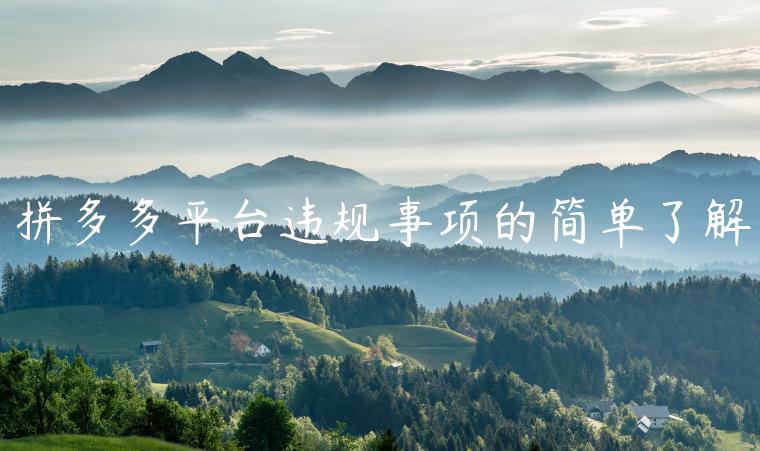 拼多多平臺(tái)違規(guī)事項(xiàng)的簡(jiǎn)單了解